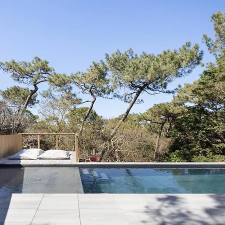 Villa Luxueuse Avec Piscine Privee A Hossegor - Fr-1-791-2